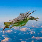 DragonFlight