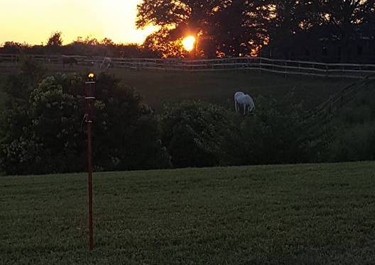 Today’s Gratitudes